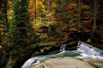 Herbst in Polen: Die schönsten Reiseziele und Aktivitäten - Polen besuchen