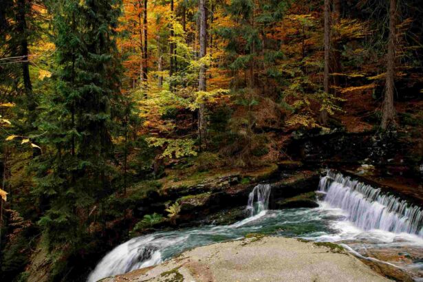 Herbst in Polen: Die schönsten Reiseziele und Aktivitäten - Polen besuchen